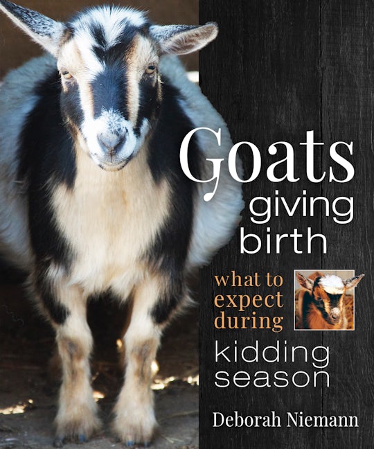 Book cover image for Goats Giving Birth ISBN: 9780865719422
